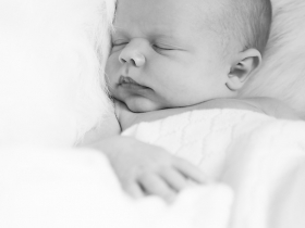 Charleston Photographer