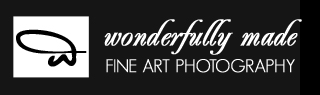 Wonderfully Made Photography